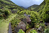 Azzorre, Isola Sao Jorge - Escursione alla Faja dos Cubres.